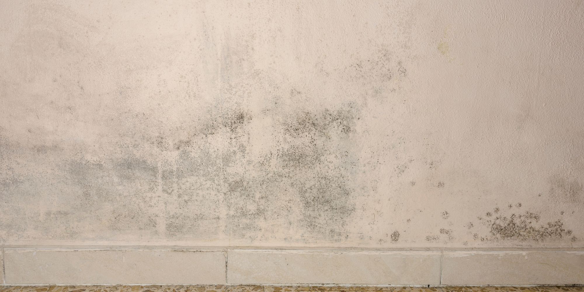 mur-taches-humidite
