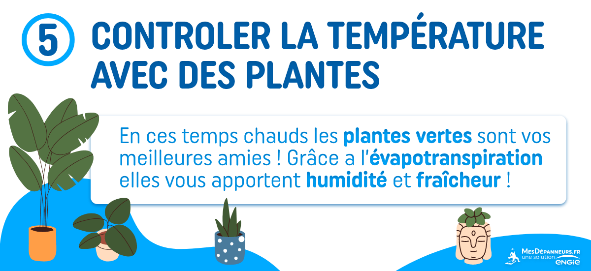 baisse température plante