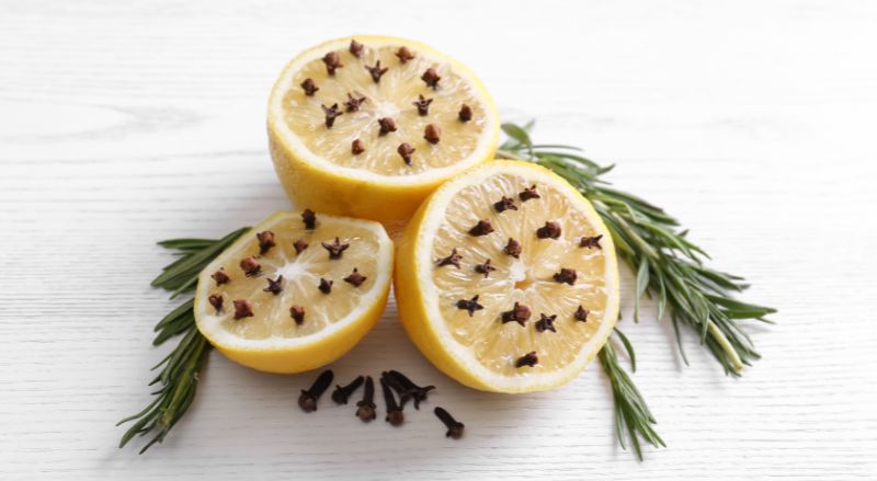 citron et clous de girofle contre les mouches