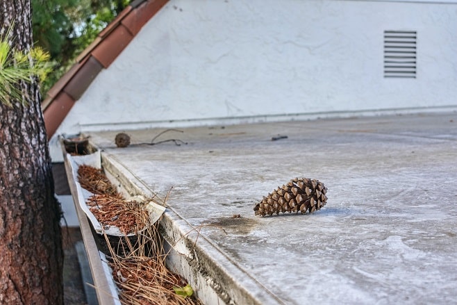 Gouttière qui fuit en PVC et qui est obstruée par des feuilles mortes et des saletés, signe d’un manque d’entretien régulier pouvant provoquer des fuites ou débordements.