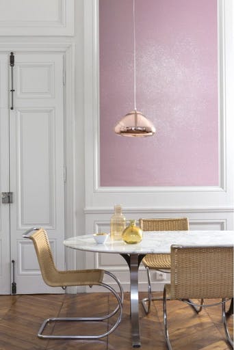 peinture paillette salon