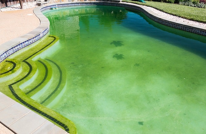 Eau verte dans la piscine à cause du chaud