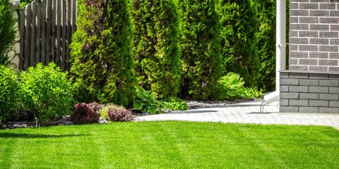 7 astuces pour rendre un jardin résistant à la sécheresse