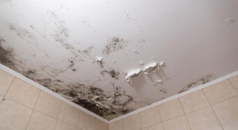 Taches d'humidité au plafond : pourquoi et comment les traiter ?